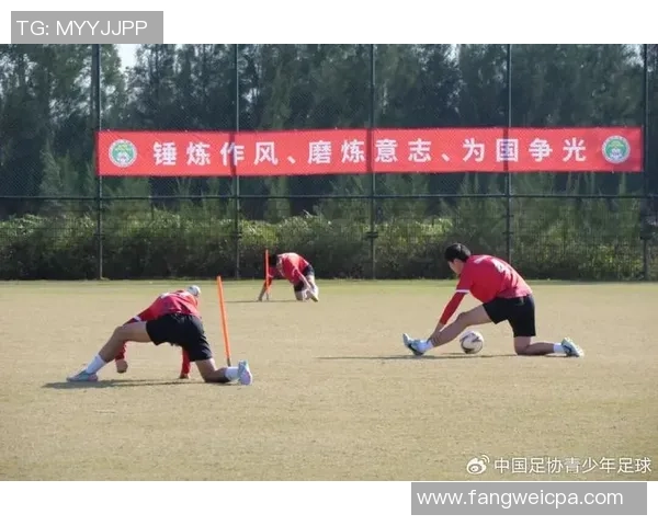 铁西足球热潮兴起青少年踢球活动助力健康成长与团队精神培养