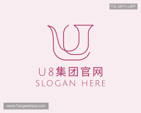关于U8国际集团